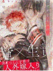 DICE